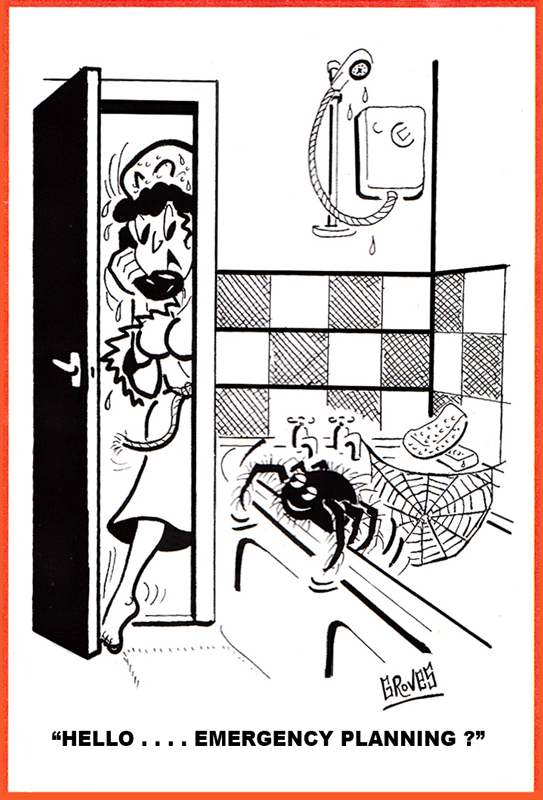 EMERGENCY PLANNING