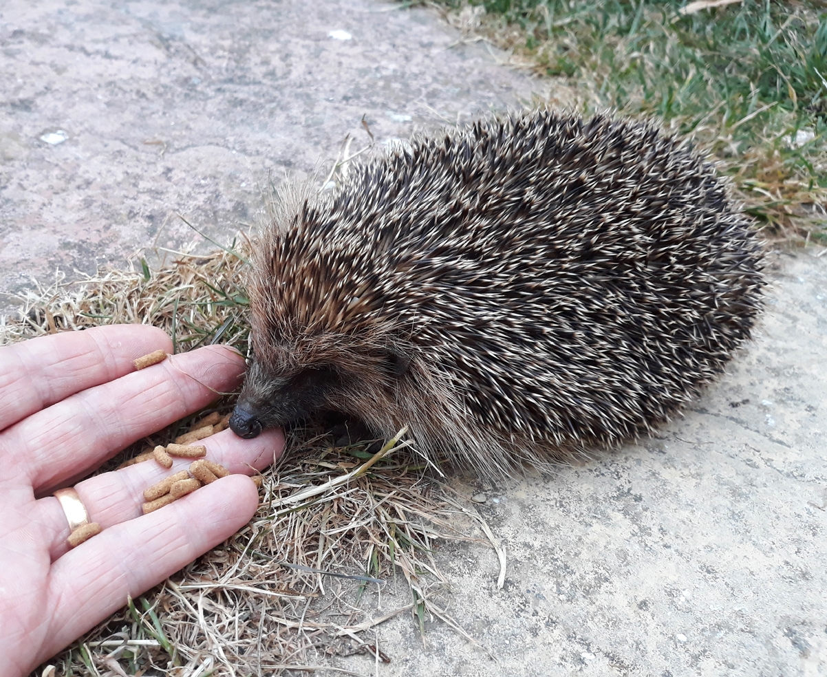 FEEDING TIME